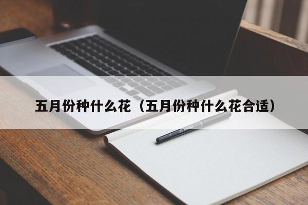 五月份种什么花（五月份种什么花合适） 